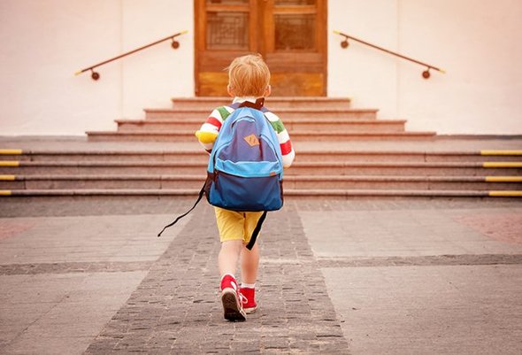 Дорога в школу